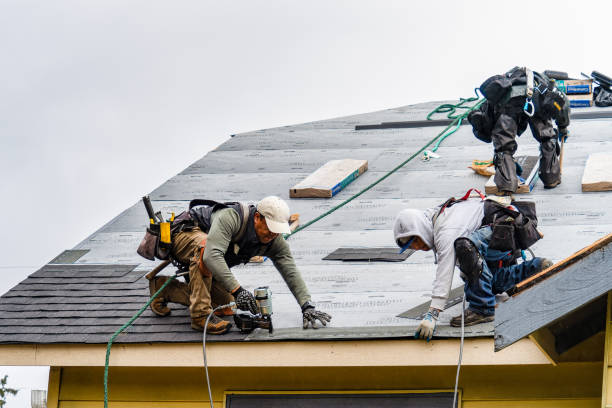 Professional Roof Installation technician working in Jamestown, ND